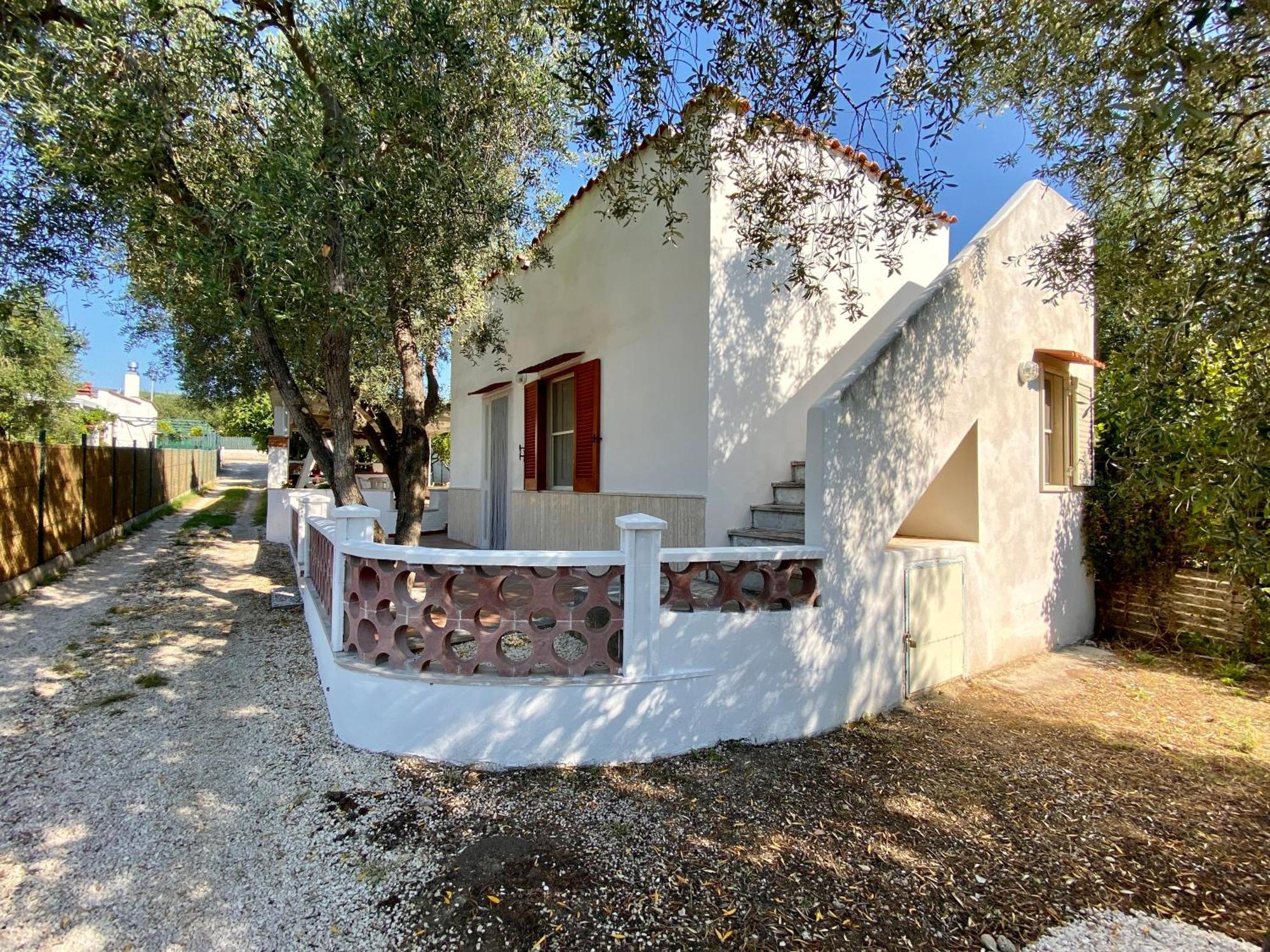 Case Vacanze Uliveto Mattinata Εξωτερικό φωτογραφία