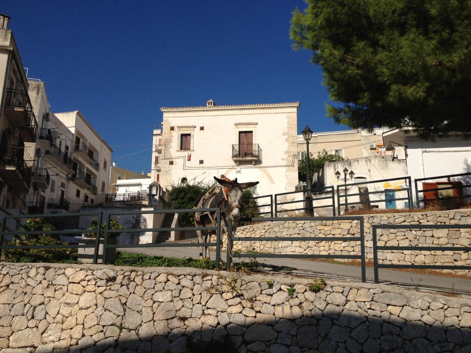 Case Vacanze Uliveto Mattinata Εξωτερικό φωτογραφία