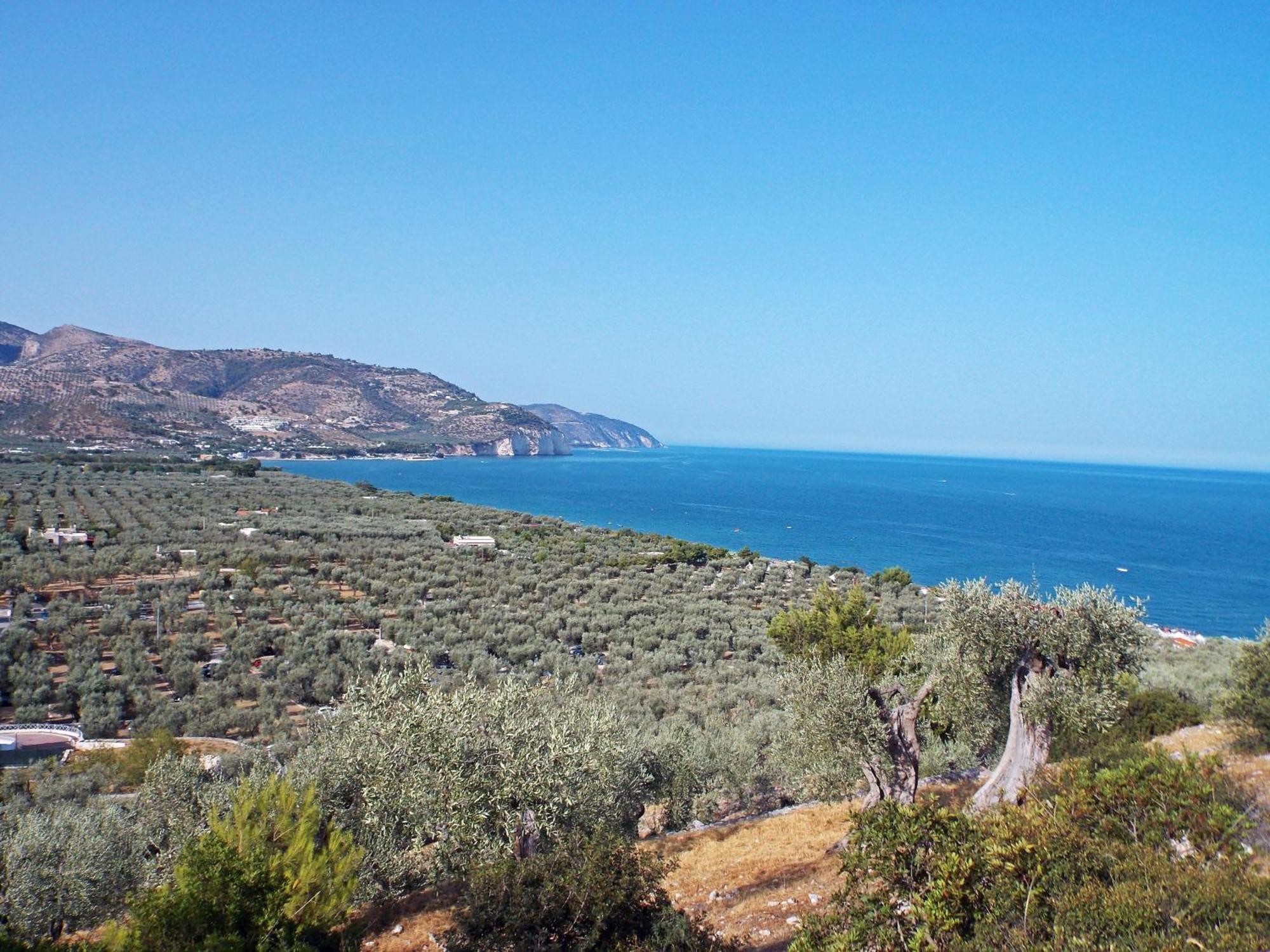 Case Vacanze Uliveto Mattinata Εξωτερικό φωτογραφία