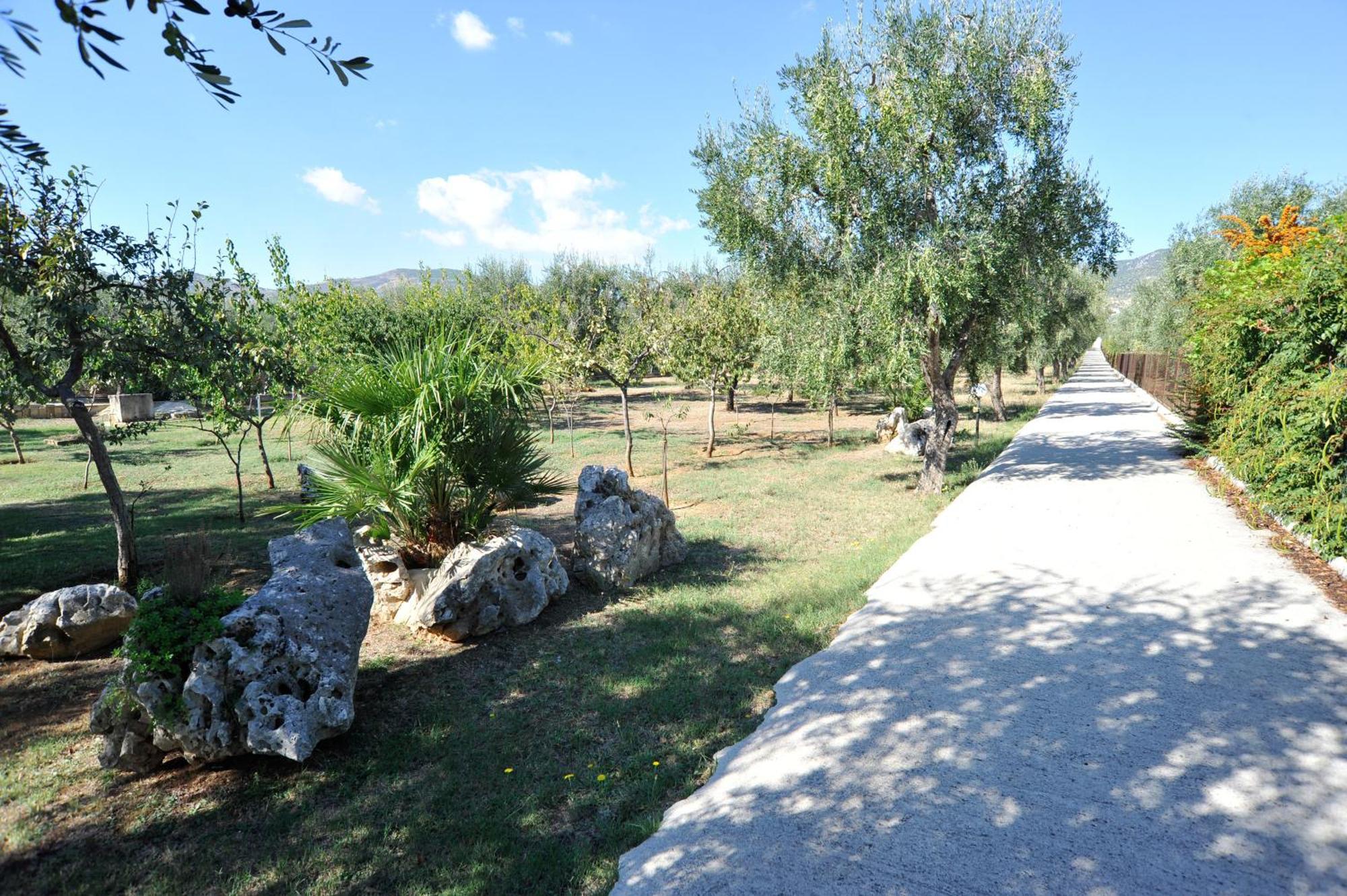 Case Vacanze Uliveto Mattinata Εξωτερικό φωτογραφία