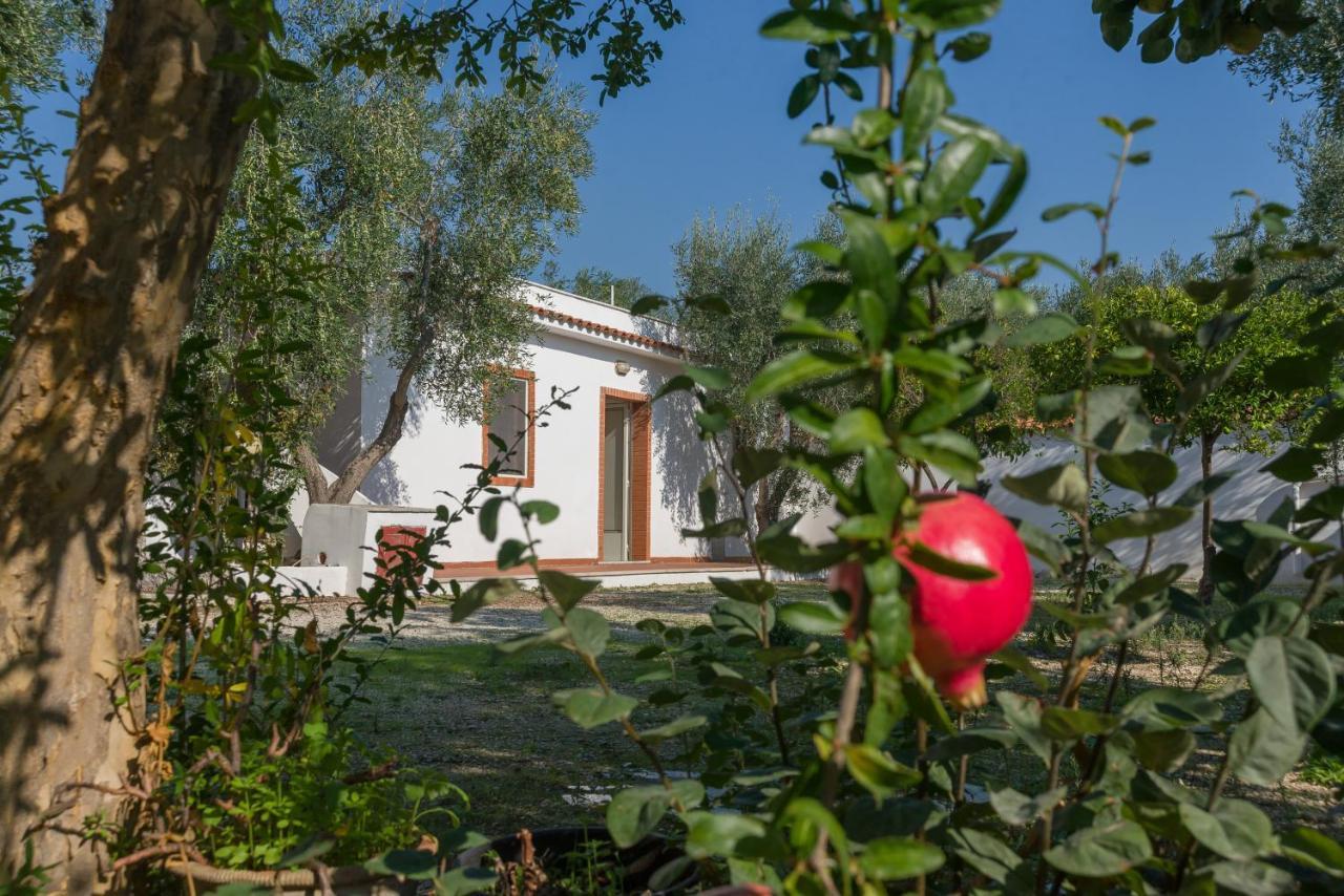Case Vacanze Uliveto Mattinata Εξωτερικό φωτογραφία
