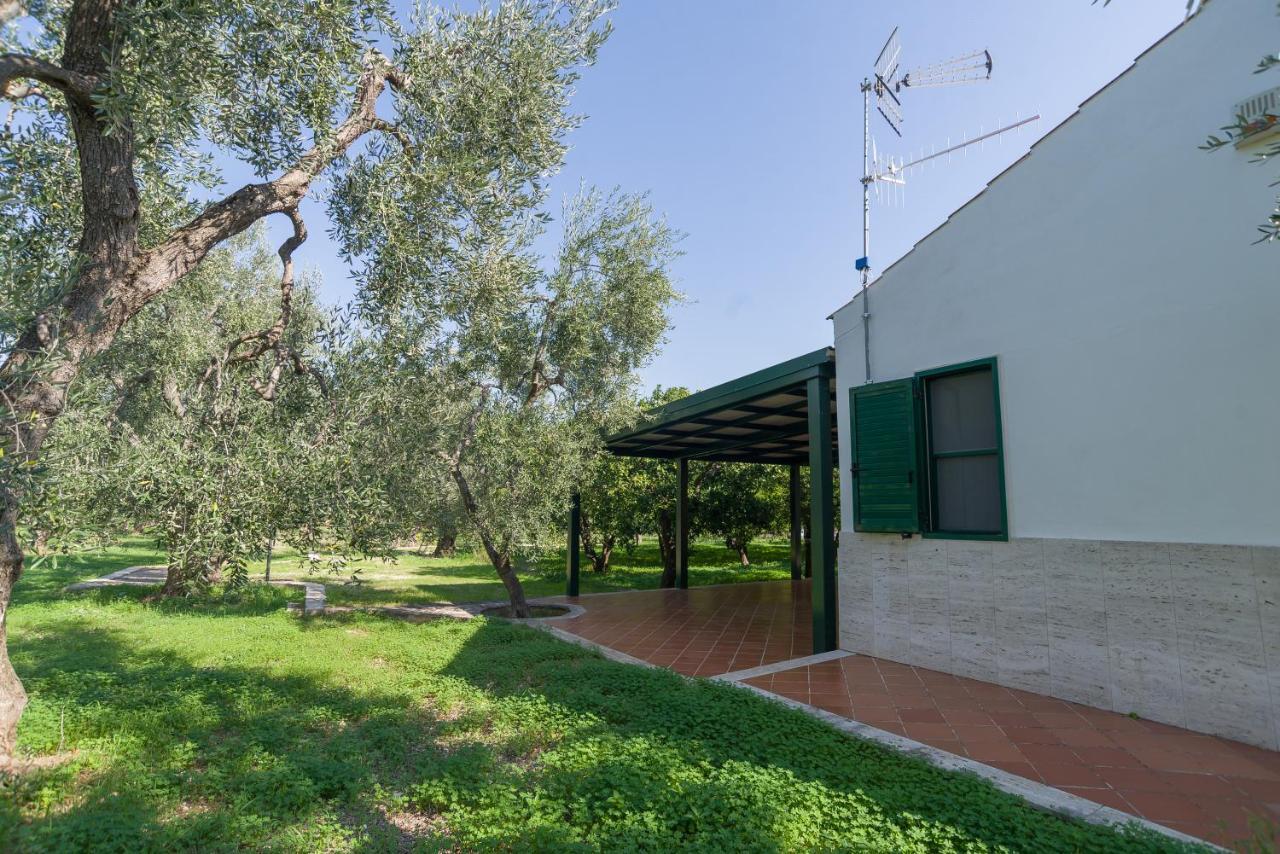 Case Vacanze Uliveto Mattinata Εξωτερικό φωτογραφία